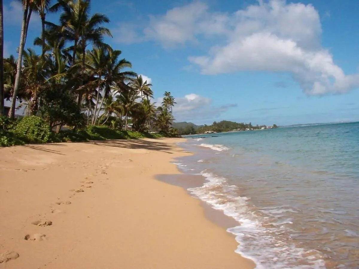 Luxurious Beachfront Condo Hau'ula United States